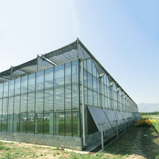 0.5mm-15mm Thickness Commercial Greenhouse Solar System Electric Power Galvanized Surface Treatment PV Film Greenhouse